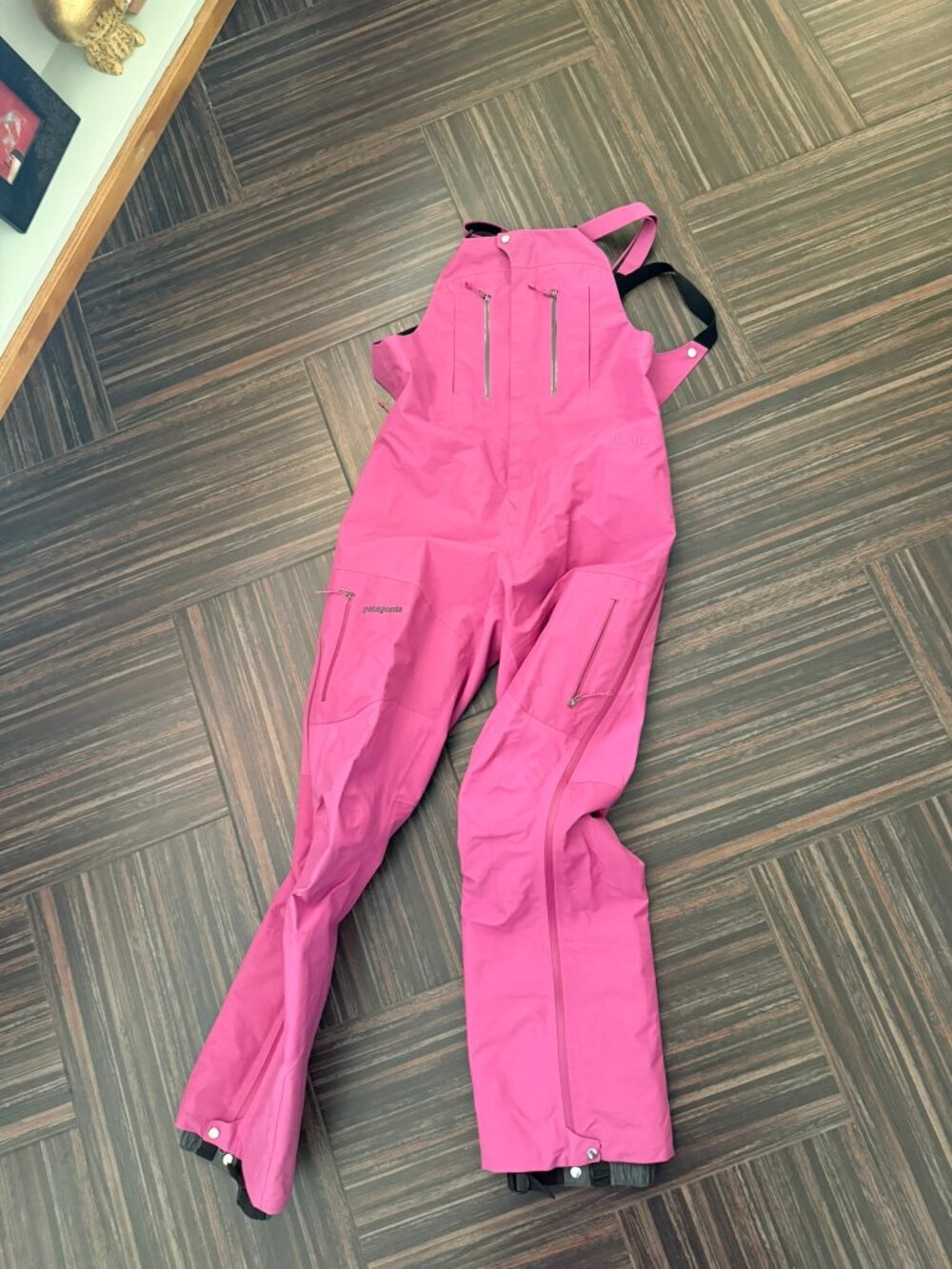 Patagonia Women’s GORE‑TEX Pro Snow Bibs – Bright Pink